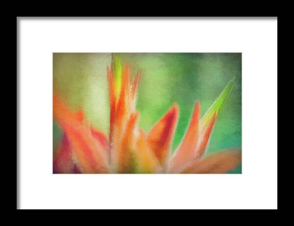 Indian Paintbrush Framed Print featuring the digital art Nature Dreaming by Bonny Puckett