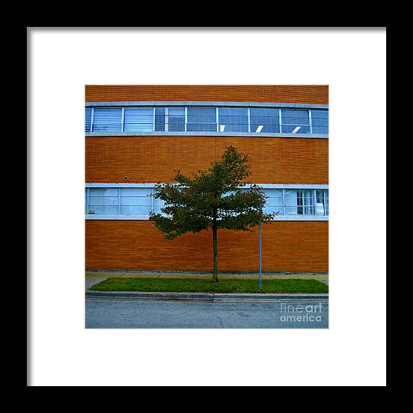 Nature Framed Print featuring the photograph Nature In Commerce by Frank J Casella