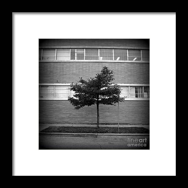 Tree Framed Print featuring the photograph Nature In Commerce - Square Holga Effect - Frank J Casella by Frank J Casella