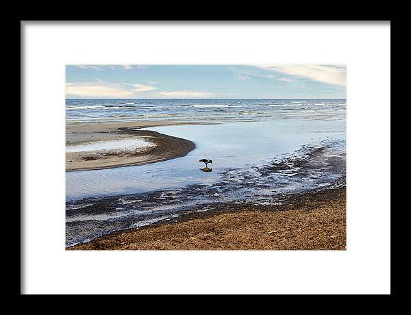Photography #beach Photography #frozen Beach#low Tide #march Weather #one Crow #sea Mirror #beach Lines #clear Morning Light #jurmala Beach Framed Print featuring the photograph Nature Mirror On The Beach Jurmala by Aleksandrs Drozdovs