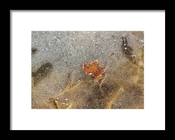 Landscapes Framed Print featuring the photograph Nature Photography - Pond Ice by Amelia Pearn