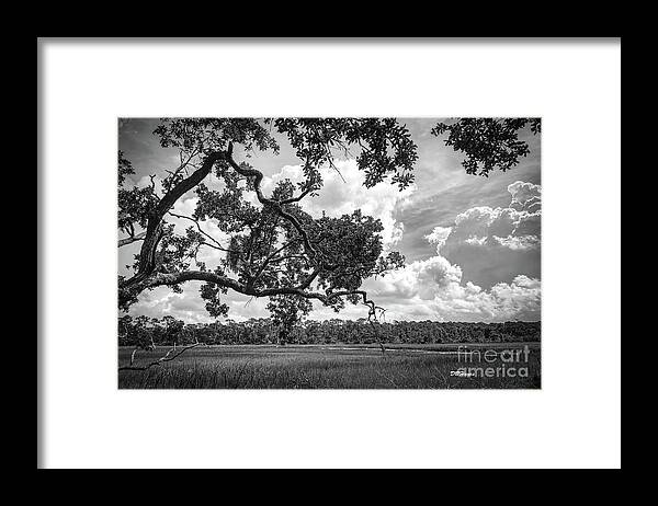 Nature Framed Print featuring the photograph Natures Serenity In Black and White by DB Hayes