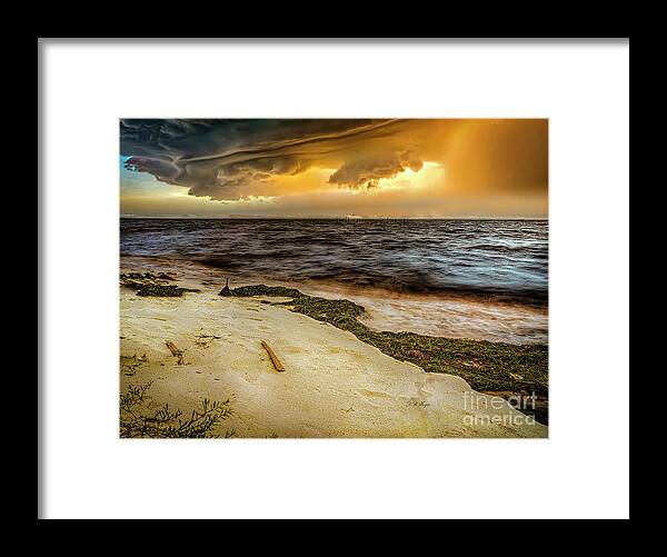 Nature Framed Print featuring the photograph Nature's Spectacle by DB Hayes