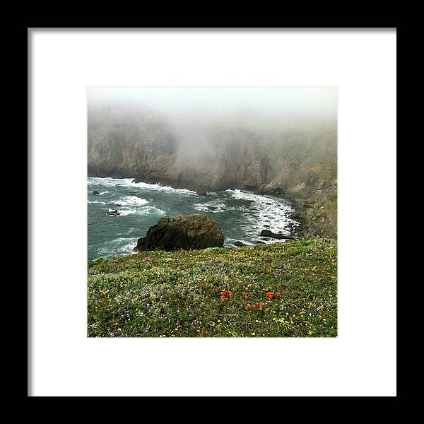 Wild Flowers Framed Print featuring the photograph Navarro Point by Grey Coopre