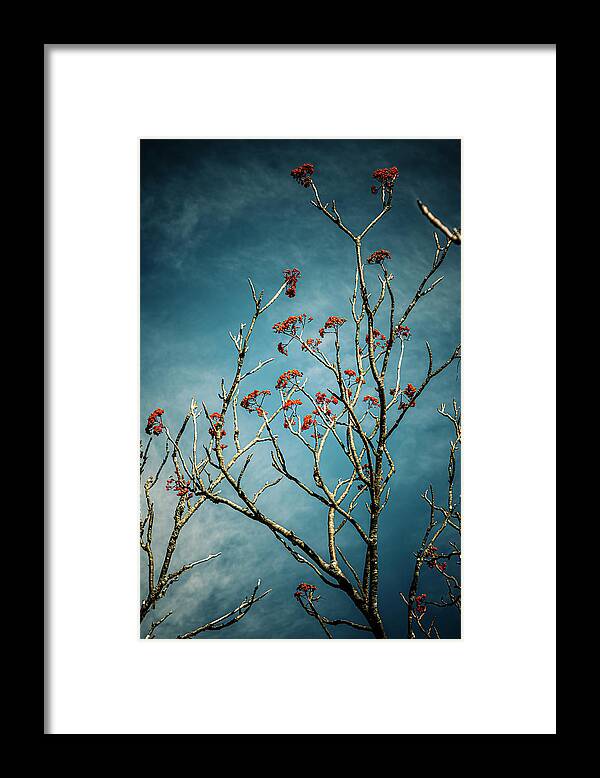Fine Art Framed Print featuring the photograph Nebula #9 by Tony Locke
