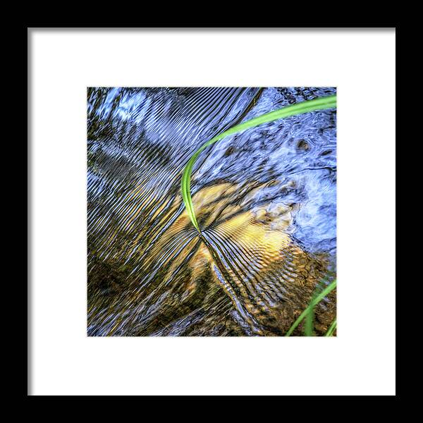 Needle Framed Print featuring the photograph Needle on reflective creek by Donald Kinney