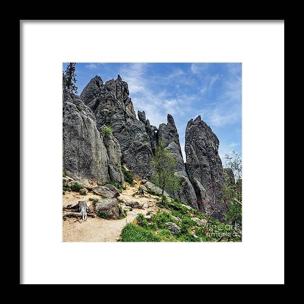 Custer State Park Framed Print featuring the photograph Needles Trail in Custer by Nick Zelinsky Jr