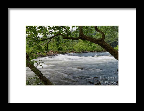 Nemo Rapids Framed Print featuring the photograph Nemo Rapids 12 by Phil Perkins