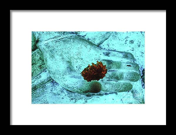 Buddha Framed Print featuring the photograph Neon Buddha Hand With Marigold - Aqua by Dean Harte
