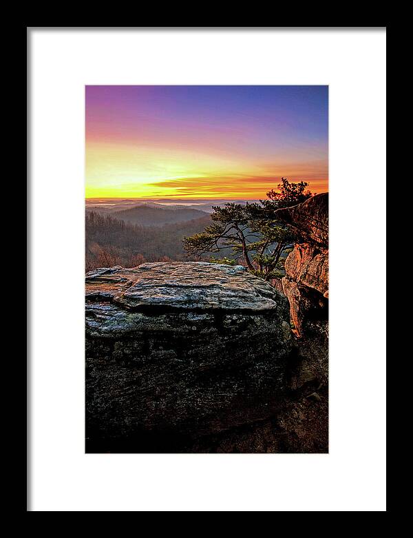 Photography Framed Print featuring the photograph New Beginning by Ed Newell