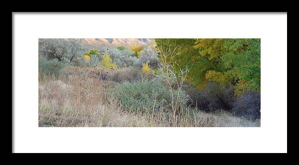 Fall Framed Print featuring the photograph New Mexico Fall by Jennifer Kane Webb