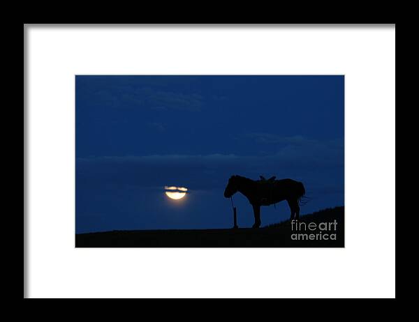 Night Of Moon With Horse Framed Print featuring the photograph Night of Moon with horse by Elbegzaya Lkhagvasuren