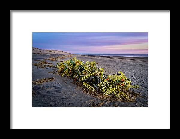 Yellow Framed Print featuring the photograph Nikon Yellow Traps by Michael Hubley