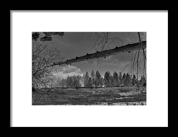See Framed Print featuring the photograph Nonnenmattweiher reflections by Ioannis Konstas