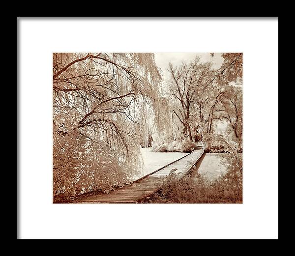 Viking Park Framed Print featuring the photograph Norsk Gangsti - Norwegian Footpath - Infrared film image of bridge in Viking park near Stoughton WI by Peter Herman