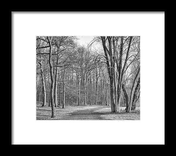 Autumn Framed Print featuring the photograph North Bay Way by Rod Best