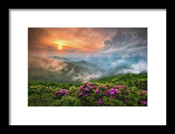 North Carolina Nc Blue Ridge Parkway Spring Flowers Appalachian Mountains Spring Flowers Craggy Gardens Asheville Western Nc Rhododendron Sunset Fog Clouds Dave Allen Landscape Photography Fine Art Smoky Mountains Blue Ridge Mountains Horizontal Sunrise Mountains Outdoor Nature Usa America Pink Purple Framed Print featuring the photograph North Carolina Blue Ridge Parkway Spring Appalachian Mountains NC by Dave Allen