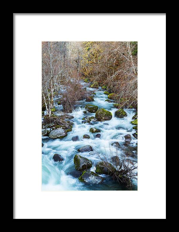 North Fork Middle Fork Willamette River Framed Print featuring the photograph North Fork Middle Fork Willamette River by Catherine Avilez