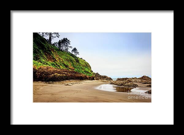 Beach Framed Print featuring the photograph North Head At Low Tide by Robert Bales