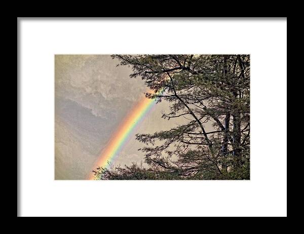 Rainbow Framed Print featuring the photograph Northern Forest Rainbow by Russ Considine