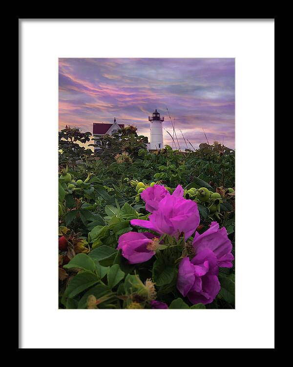 Lighthouse Framed Print featuring the photograph Nubble Lighthouse Pink Sunrise by Joann Vitali