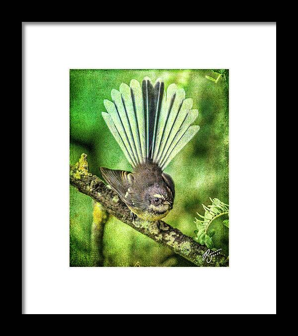 Bird Framed Print featuring the photograph N.Z. Fantail 2 by Roseanne Jones