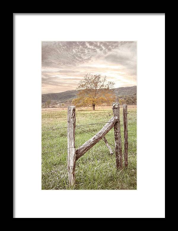 Cades Framed Print featuring the photograph Oak Tree in the Mist at Sunrise by Debra and Dave Vanderlaan