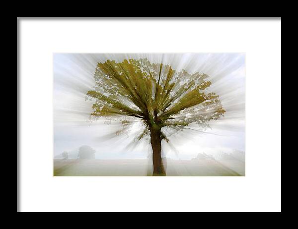 Oak Framed Print featuring the photograph Oakburst - zoom during exposure of an autumn oak by Peter Herman
