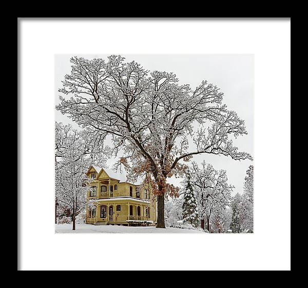 Oak Framed Print featuring the photograph Oakitecture #2 - Historic Stoughton home and oak tree in wintertime by Peter Herman