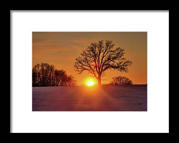 Oak Framed Print featuring the photograph OakSet - winter WI sunset behind a solitary oak tree by Peter Herman