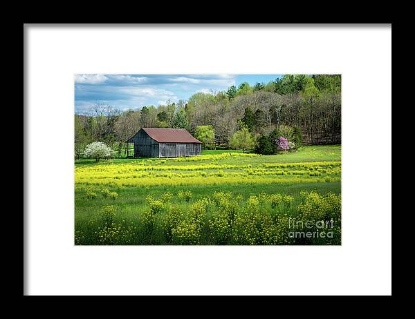 Obannon Woods State Park Framed Print featuring the photograph Obannon Woods Barn in Spring - White Cloud - Indiana by Gary Whitton