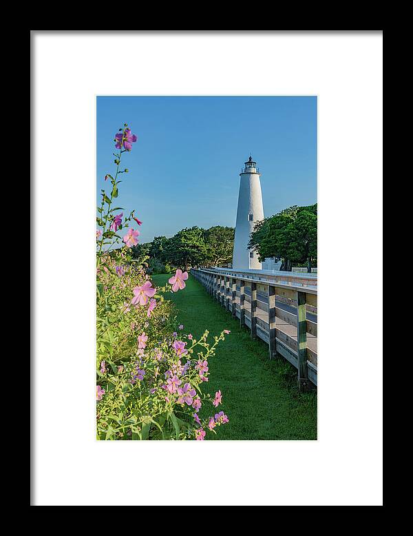 North America Framed Print featuring the photograph Ocracoke Light and Mallows by Liz Albro