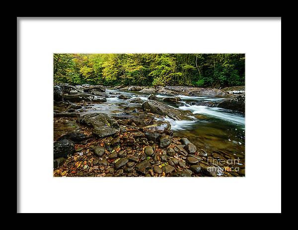Cranberry River Framed Print featuring the photograph October Morning on Cranberry River by Thomas R Fletcher