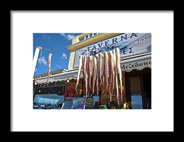 Fishing Framed Print featuring the photograph Octopus at the Taverna by Sean Hannon