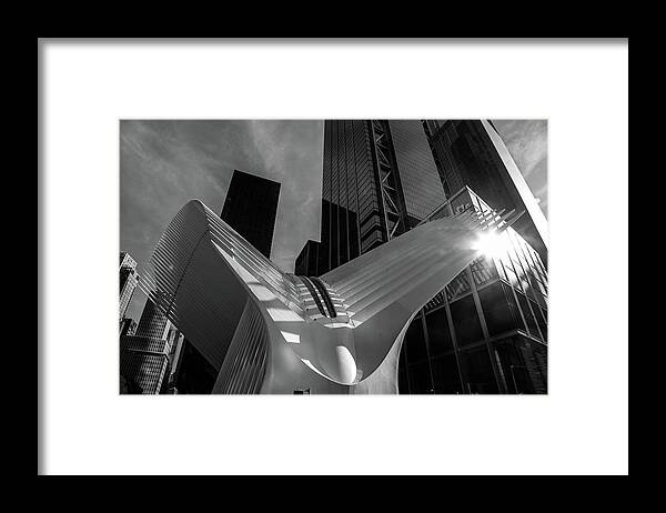 New York Framed Print featuring the photograph Oculus by Alberto Zanoni