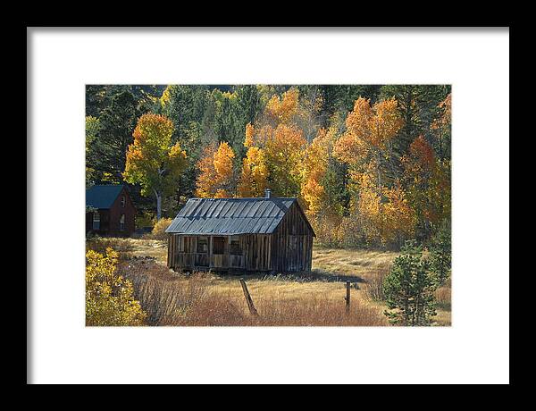 Hwy Framed Print featuring the photograph Old Cabin on Hwy 88, California by Bonnie Colgan