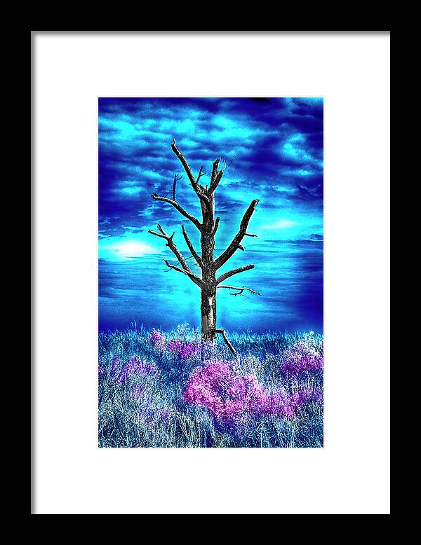 Infrared Framed Print featuring the photograph Old Growth New Growth by Anthony M Davis