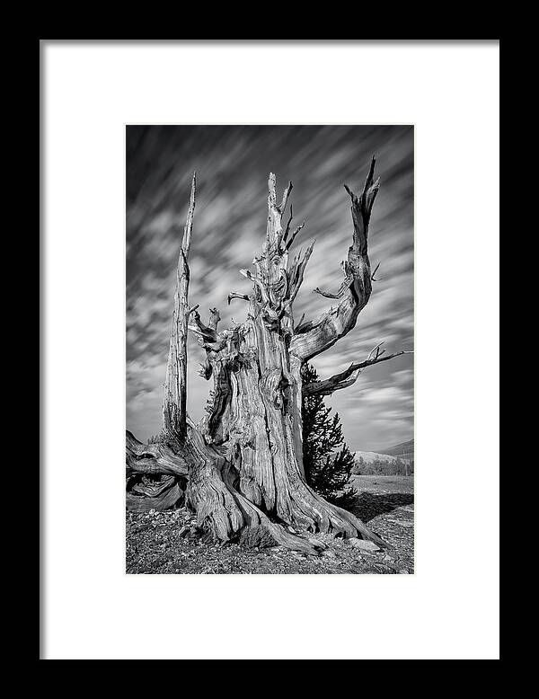 24-70mm Framed Print featuring the photograph Old Man by Steve Berkley