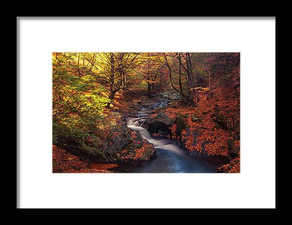 Mountain Framed Print featuring the photograph Old River by Evgeni Dinev