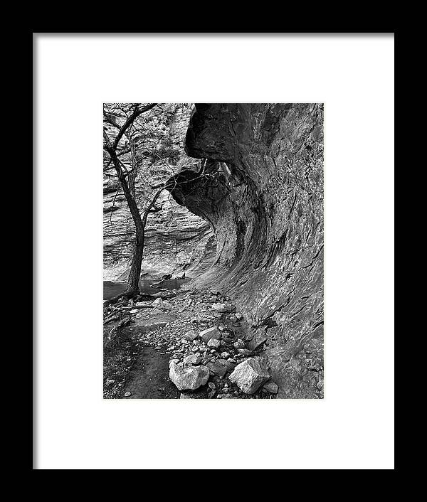 Richard E Porter Framed Print featuring the photograph Old Tree and Overhang 2-Sitting Bull Falls, New Mexico-Guadalupe Mountains, Lincoln National Forest by Richard Porter