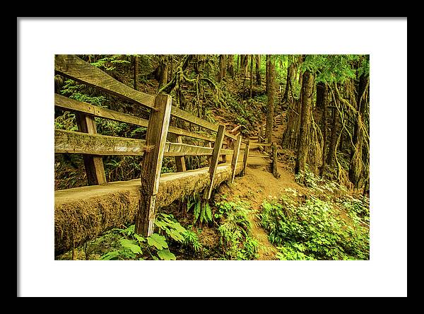 Olympic Framed Print featuring the photograph Olympic Moss Series #9 - Washington, USA - 2017 New 1/10 by Robert Khoi