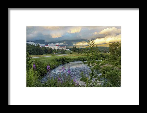 Omni Framed Print featuring the photograph Omni Sunset Flowers by White Mountain Images