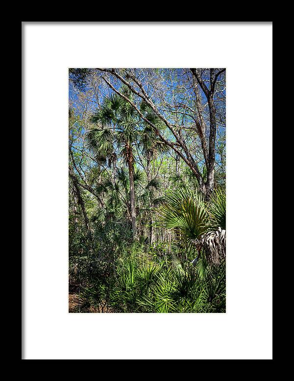 Florida Framed Print featuring the photograph On a Florida Hike - 3 by W Chris Fooshee
