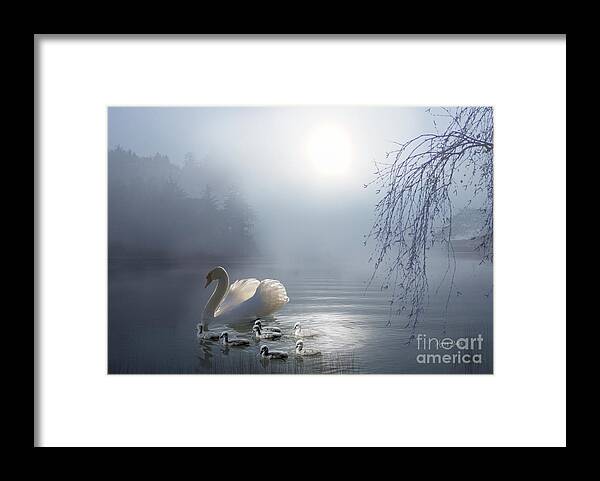 Swan Framed Print featuring the mixed media On Moonlit Bay by Morag Bates