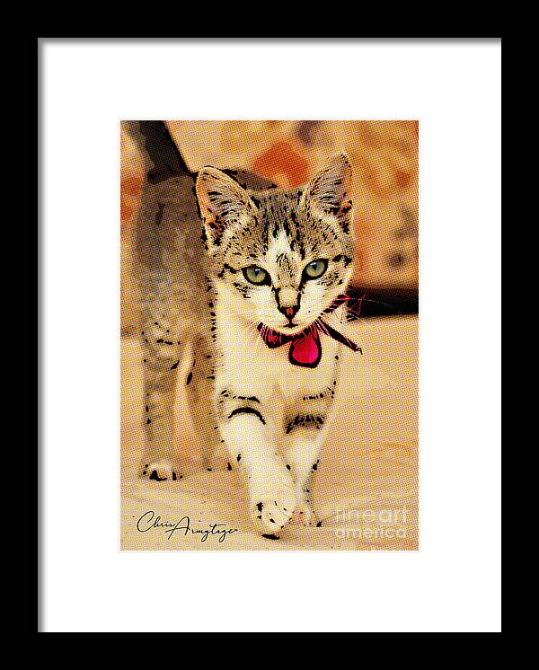 Tabby Framed Print featuring the digital art On the Catwalk ... by Chris Armytage