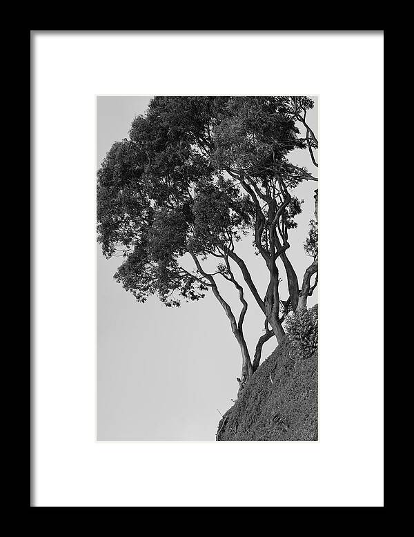 Cliff Framed Print featuring the photograph On the Edge by Gina Cinardo