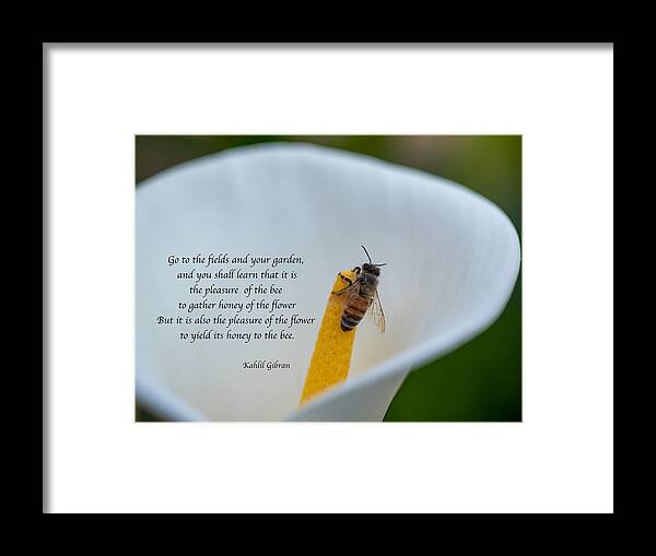 Giving Framed Print featuring the photograph On the pleasure of giving and receiving by Alessandra RC