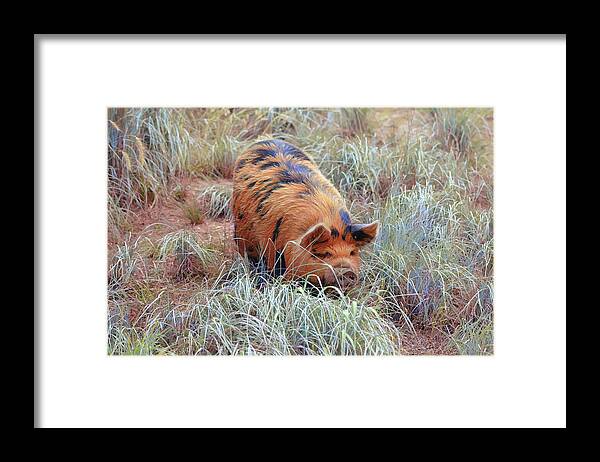 Pig Framed Print featuring the digital art On their Farm they had a Pig by Gaby Ethington