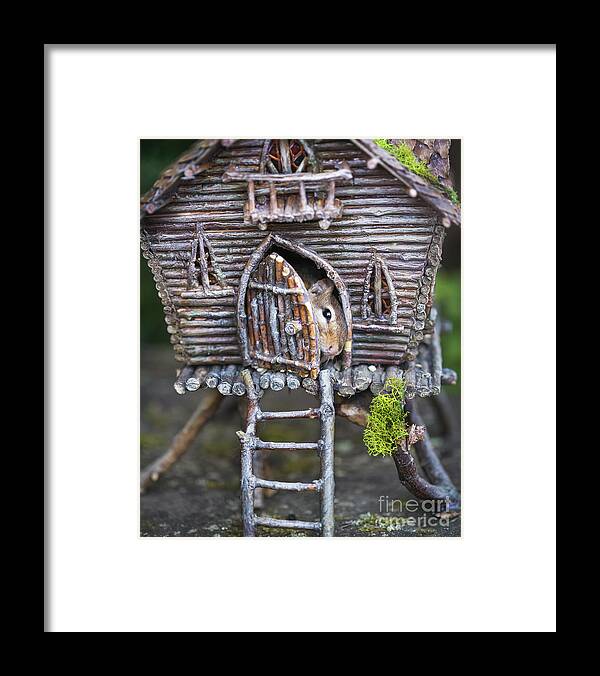 #chipmunk Framed Print featuring the photograph Once upon a chipmunk by Darya Zelentsova