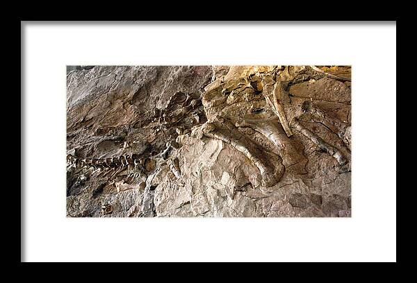 Geology Framed Print featuring the photograph One section of the Wall of Bones, Dinosaur National Monument by by Mike Lyvers